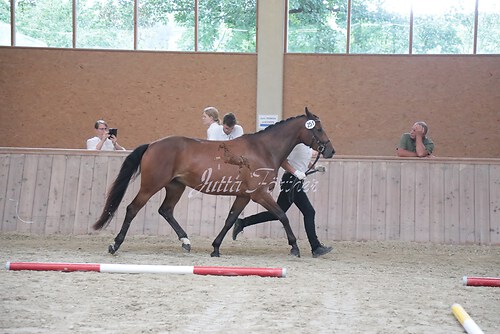 Siegerehrung 235
