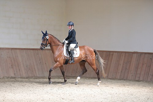 Stutenleistung0212