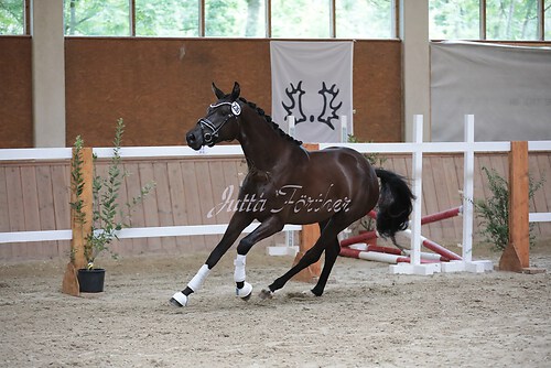 Freispringen 448