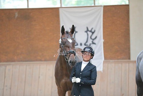 Siegerehrung Stutenleistung0011