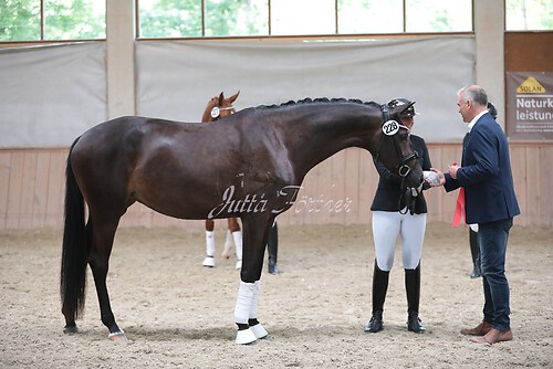 Siegerehrung Stutenleistung0036