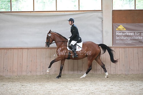 Stutenleistung0062