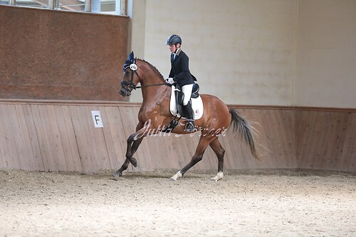 Stutenleistung0211