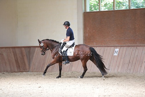 Stutenleistung0216