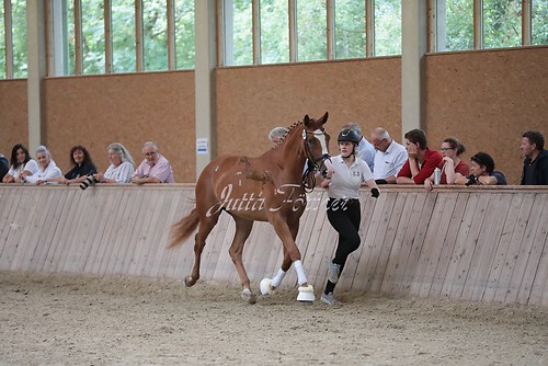 Freispringen 440