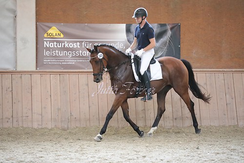 Stutenleistung0044