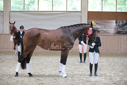 Siegerehrung Stutenleistung0065