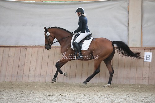 Stutenleistung0048