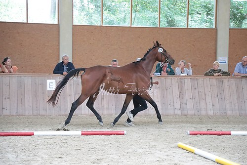 Siegerehrung 310