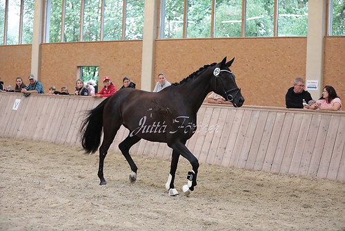 Herzogin Kate03