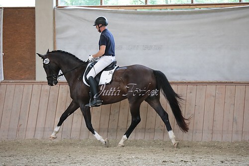 Stutenleistung0029
