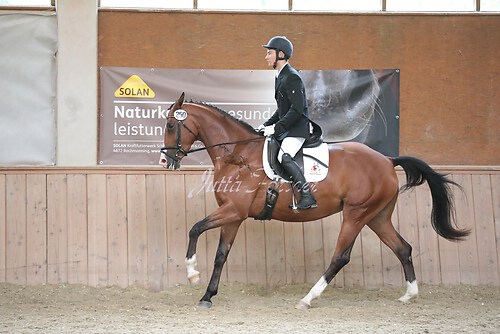 Stutenleistung0067