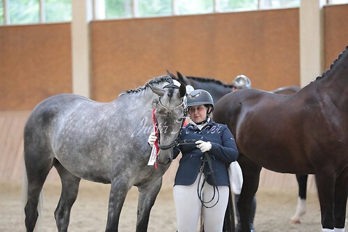 Siegerehrung Stutenleistung0155