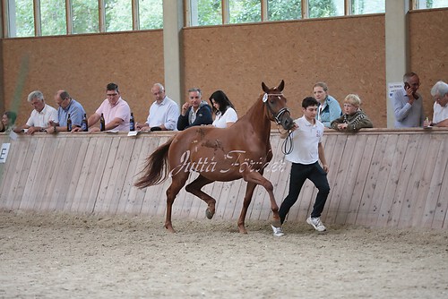 Freispringen 364