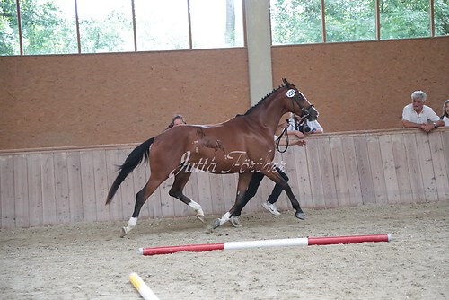 Siegerehrung 213