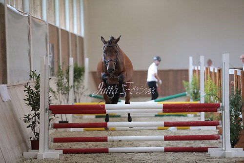 Freispringen 230