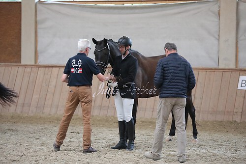 Siegerehrung Stutenleistung0130