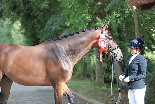 Siegerehrung Stutenleistung0106