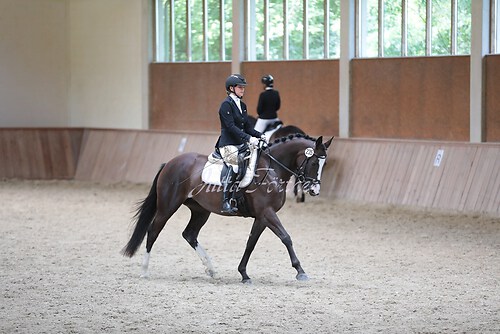 Stutenleistung0186