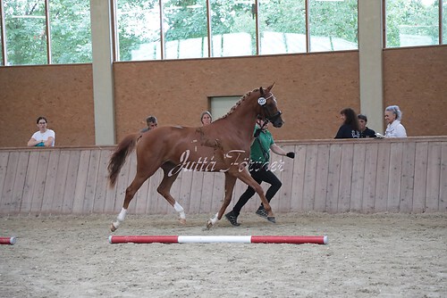 Siegerehrung 77