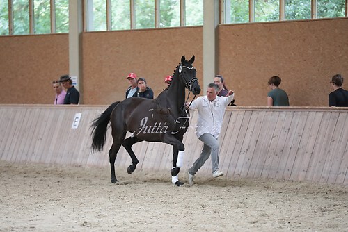 Freispringen 126