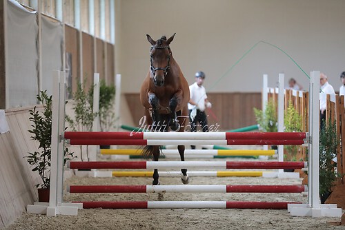 Freispringen 224