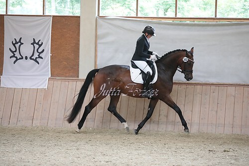 Stutenleistung0086