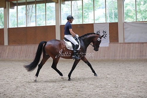 Stutenleistung0080