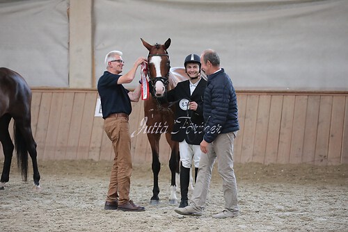 Siegerehrung Stutenleistung0129