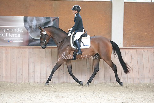 Stutenleistung0177