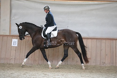 Stutenleistung0056
