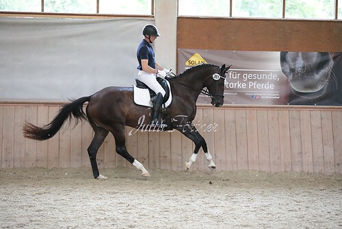 Stutenleistung0031