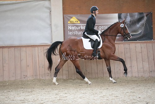 Stutenleistung0068
