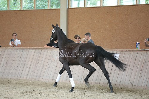 Freispringen 109