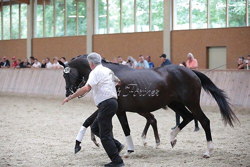 Freispringen 72
