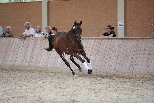 Freispringen 200