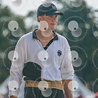 TUG OF WAR - Mannheim 2024