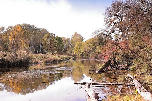 SAO85901 edited_inPixio_Nik