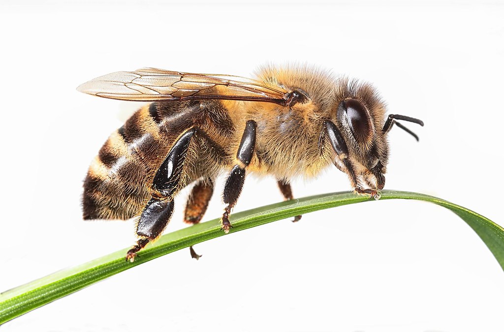 ASO35049 korr edited PS