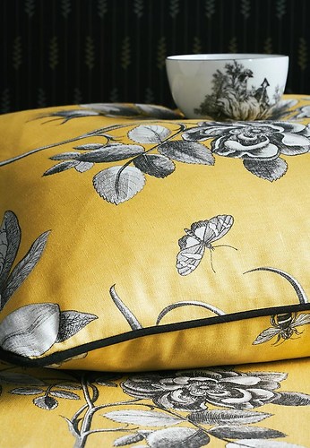 Etchings and Roses Cushion