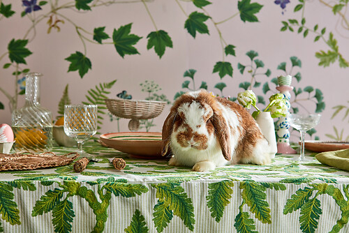 Sanderson_Arboretum_81_Sycamore & Oak_Oaknut Stripe_Easter_Bunnies