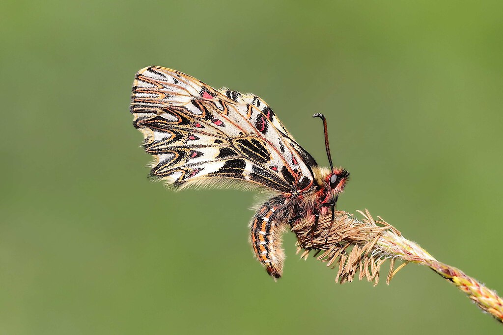 SAOO7629 edited_Nik_inPixio