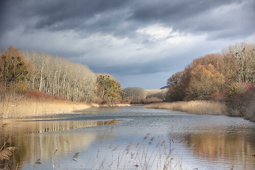 SAO62555 edited_B_Nik