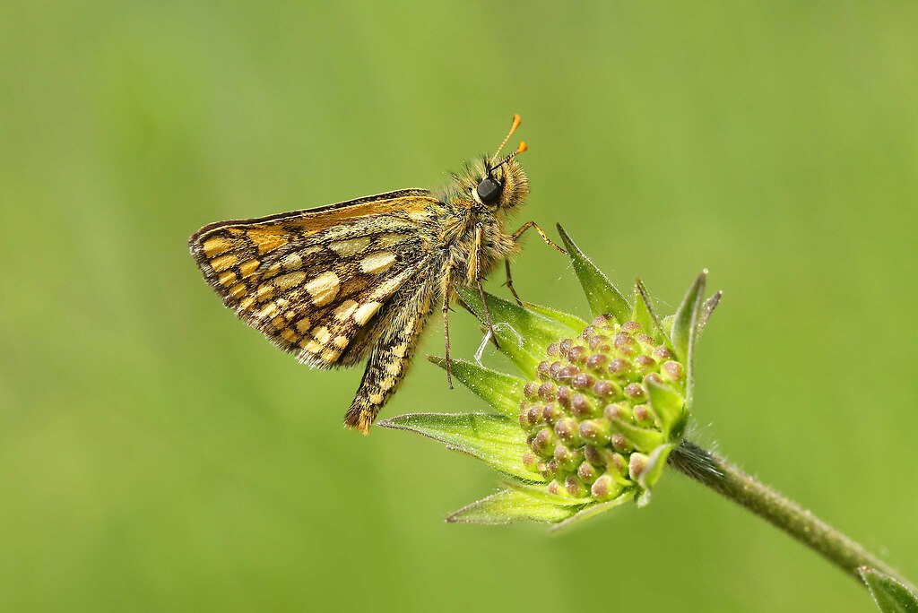 AS183160 edited korr PS