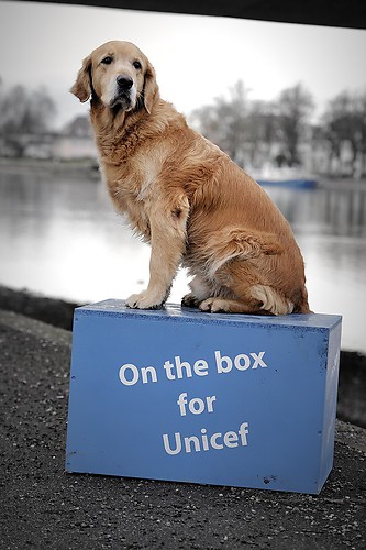 www.on-the-box.fotograf.de - On the Box for UNICEF - Konstanz - Jespah Holthof (2)