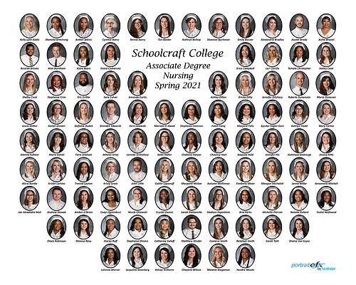 SCHOOLCRAFT COMPOSITE small sample