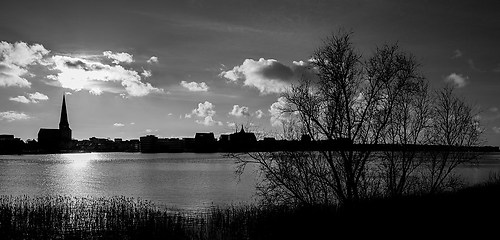 IMG_4305