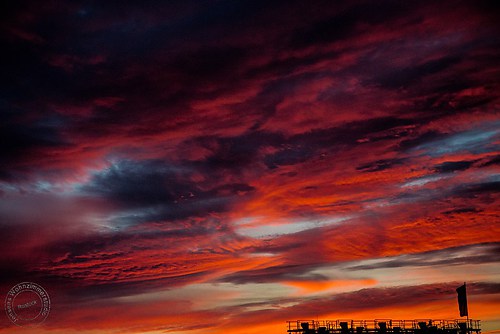 IMG_7047