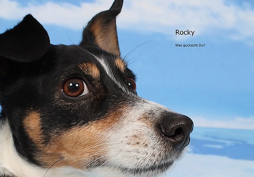 Rocky