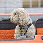 Impressionen & Zuschauer